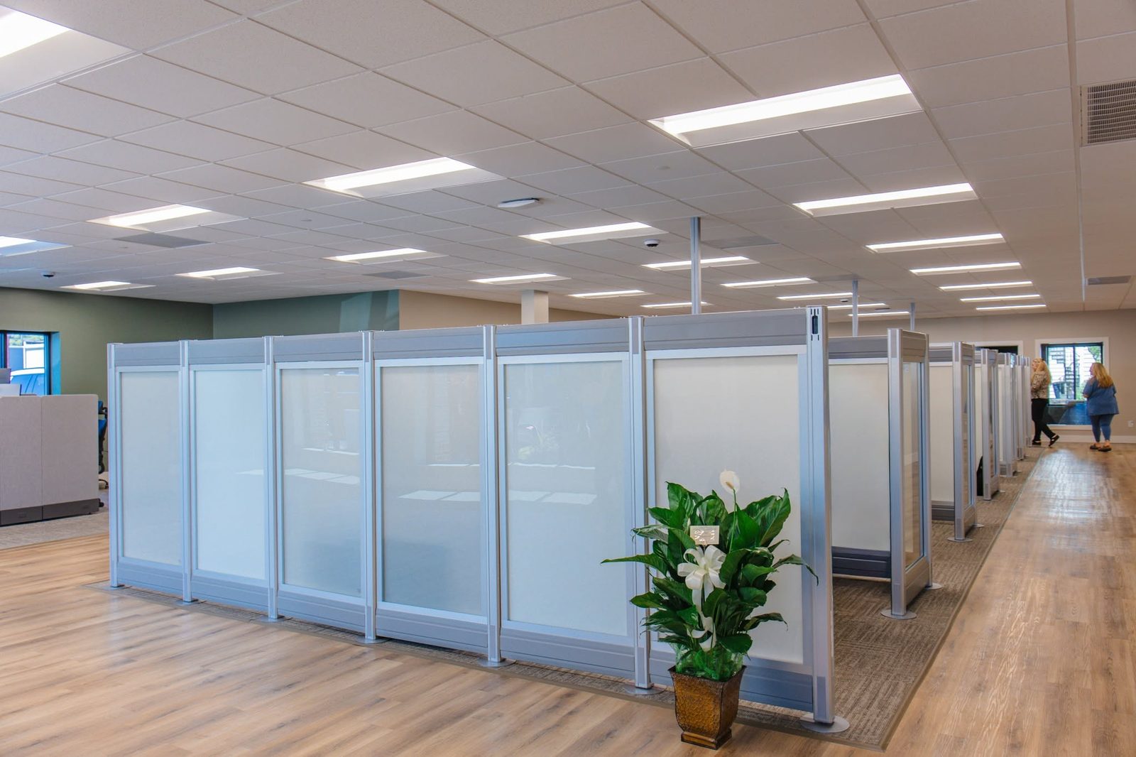 Interior of the Gadsden office with frosted-glass workstations and wood floors